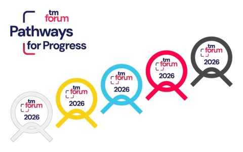 P4P logo and belts pathway