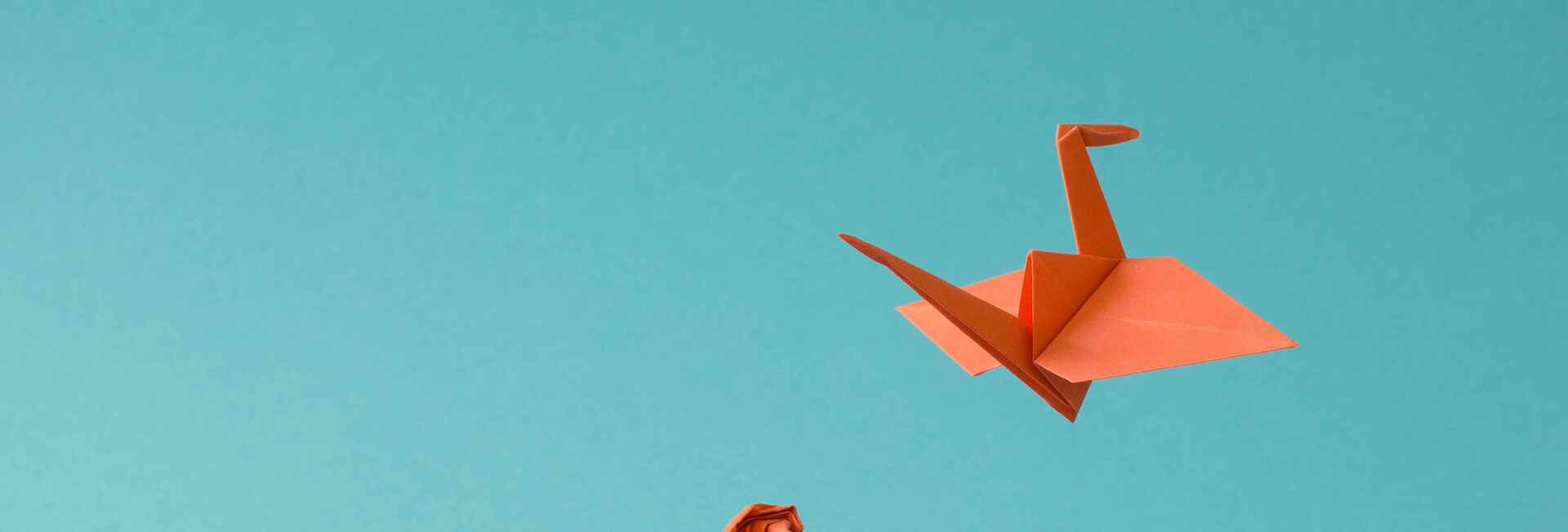Paper origami from crushed ball to bird orange blue