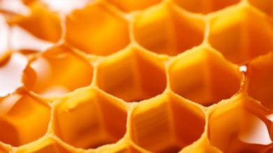 Assessing CSPs' progress towards an open digital architecture