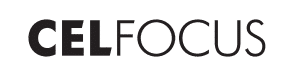 Celfocus logo